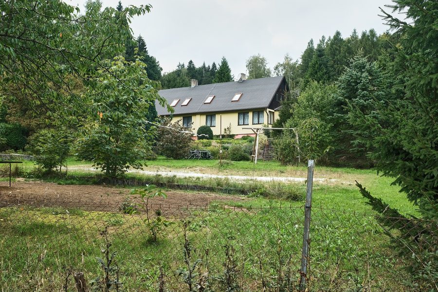 Lesní mýtina v Karlově Huti u Bělé nad Radbuzou