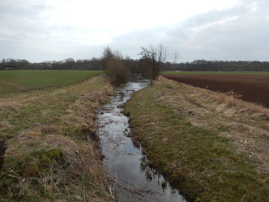Seegraben im Naturschutzgebiet Drakenburger Marsch