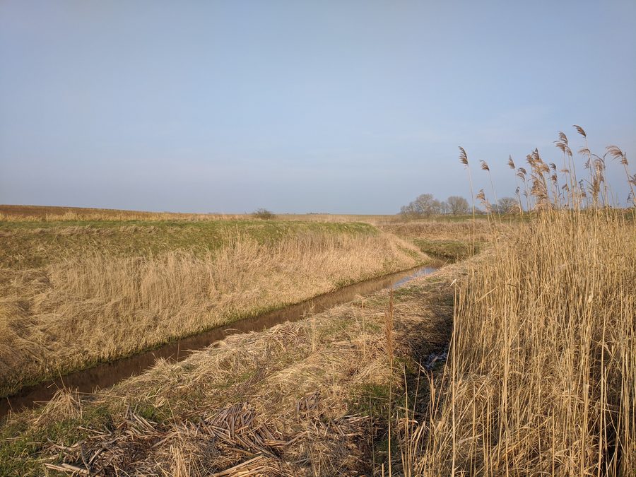 Die Kittendorfer Peene zwischen Bredenfelde und Sülten in Mecklenburg-Vorpommern