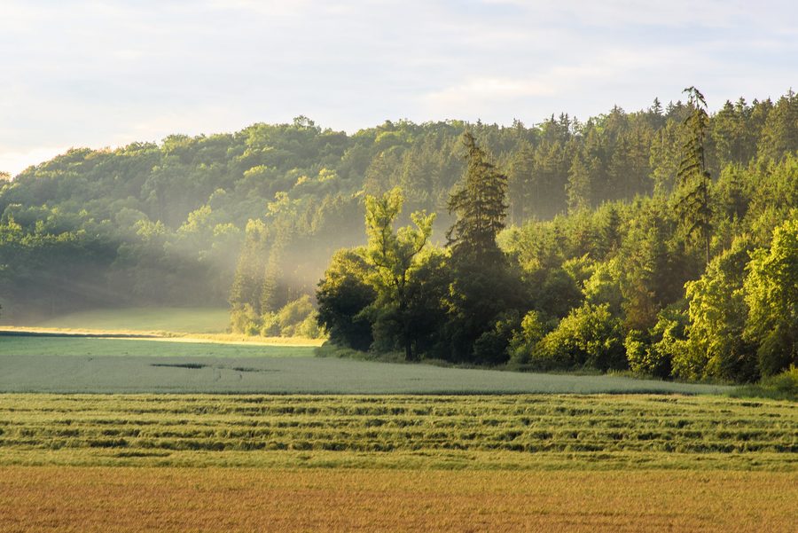 Landschaft im Landschaftsschutzgebiet Mittleres Lonetal bei Bernstadt