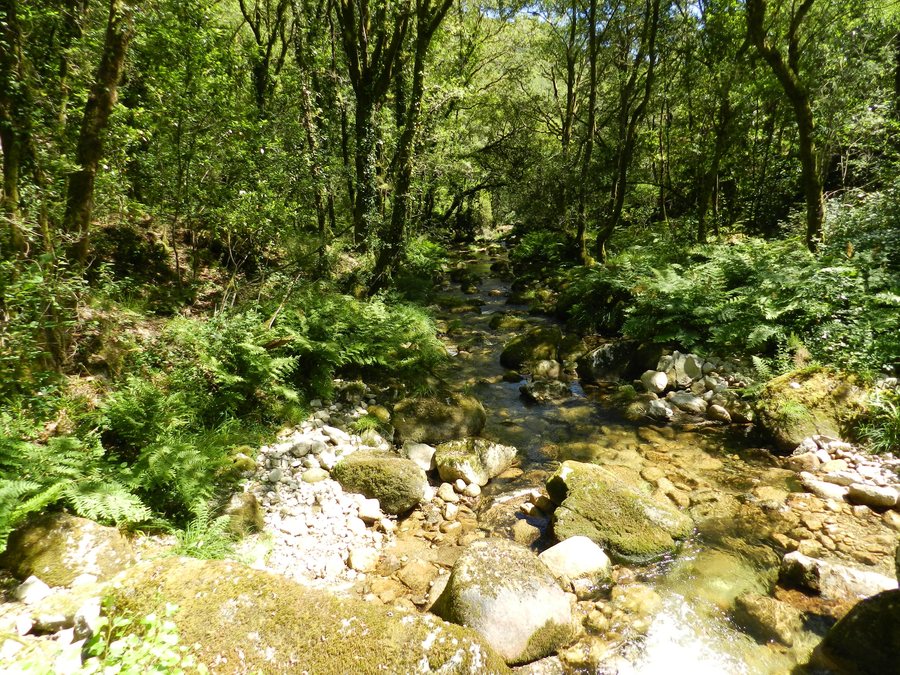 File:Landscape covelo.jpg