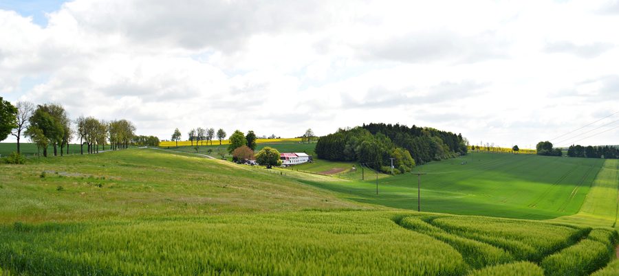 Landschaft mit Vierseitenhof im thüringischen Eichsfeld