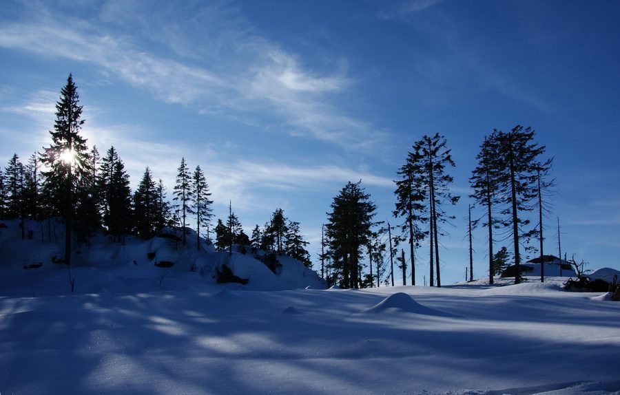 Gipfelregion des Dreisesselbergs im Bayerischen Wald