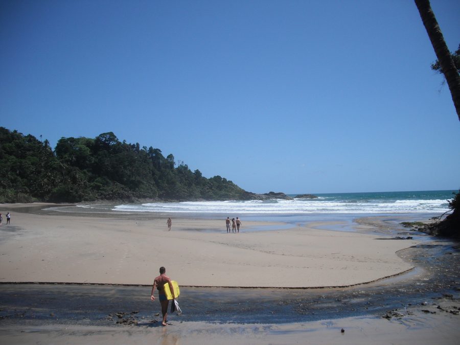 Praia da Engenhoca in Itacaré mit Strand und bewaldeten Hängen