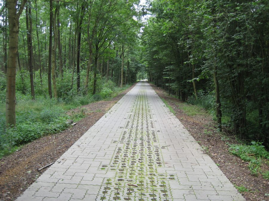 Dahme-Radweg zwischen Glashütte und Friedrichshof