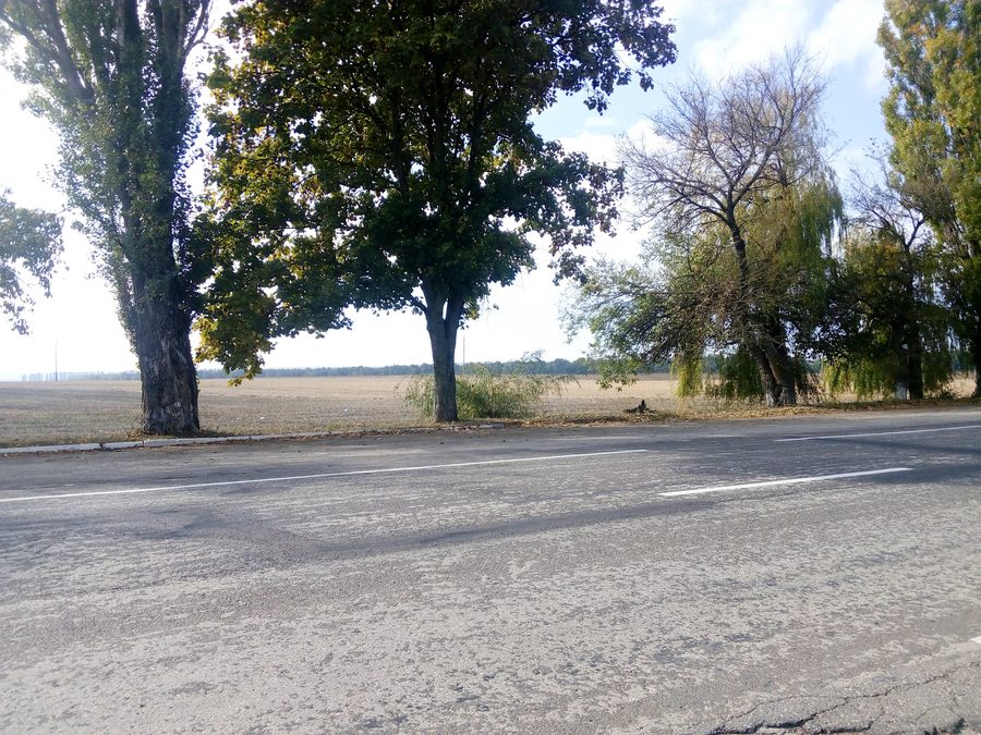Raionul Edineț