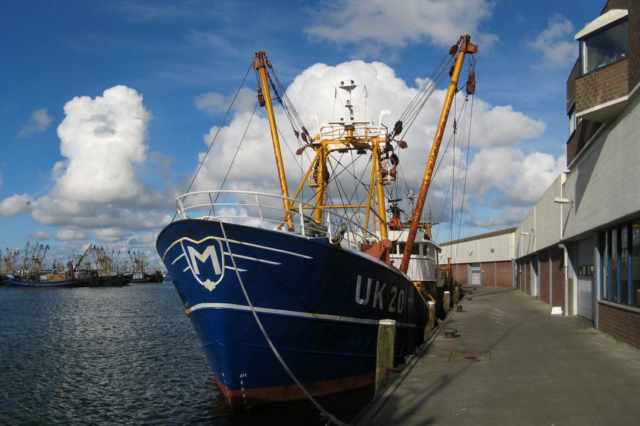 Fischkutter im Fischereihafen von Lauwersoog