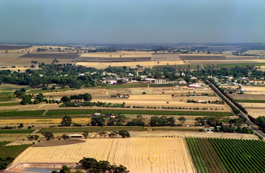 Luftaufnahme von Weinbergen im Barossa Valley in South Australia