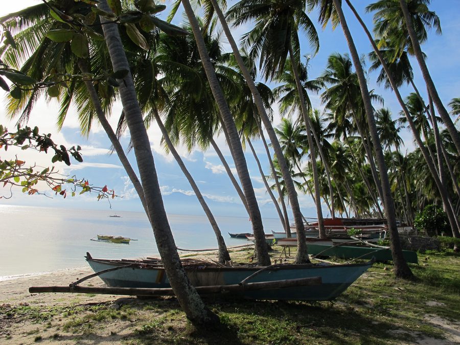 Paliton Beach auf Siquijor mit hellem Sand, klarem Wasser und Kokospalmen