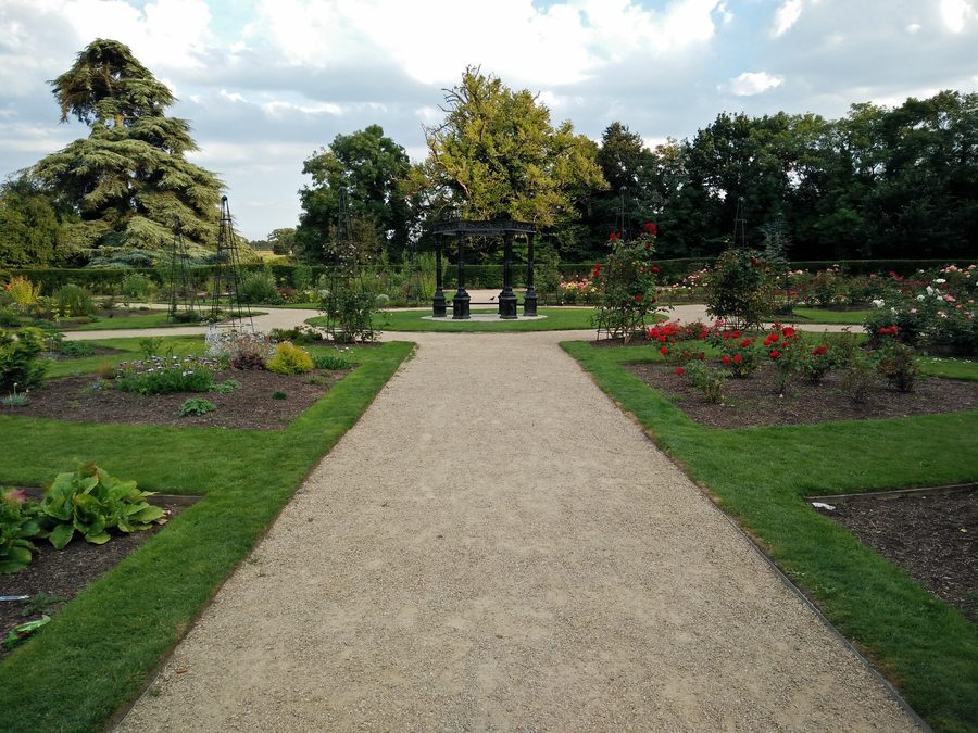Rosengarten im Corkagh Park in Clondalkin, Dublin