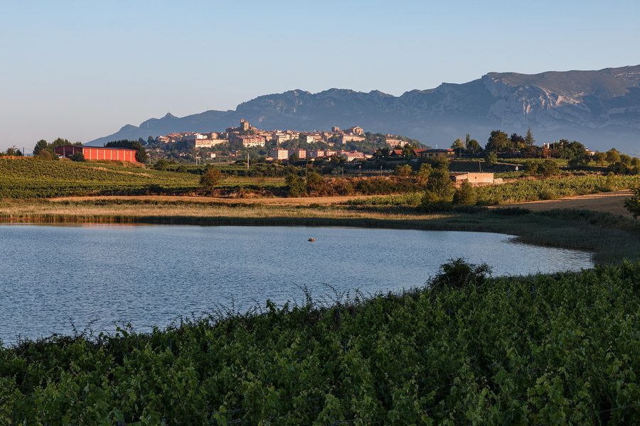 Carralogroño lagoon in the Lagunas de Laguardia area