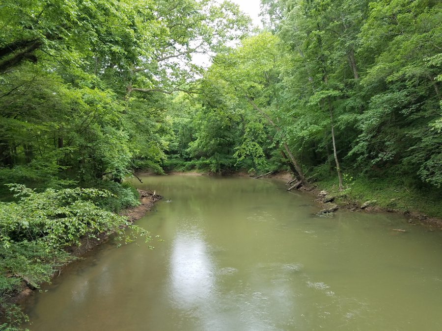 South Chickamauga Creek at Audubon Acres in Chattanooga.