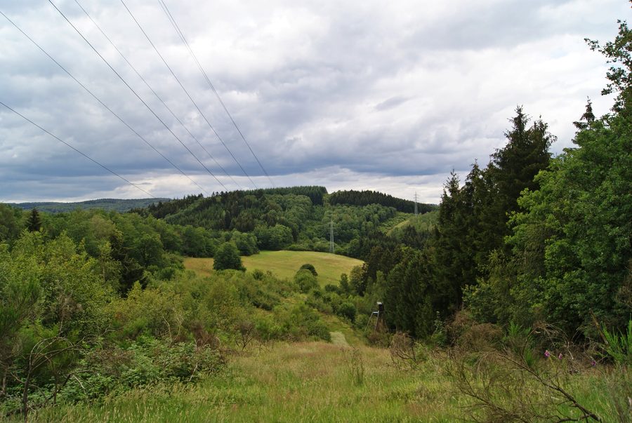 Hügellandschaft bei Freudenberg in Nordrhein-Westfalen