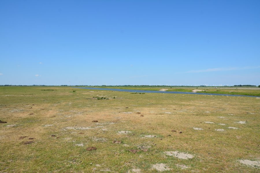 Landschaft im Naturschutzgebiet Wöhrdener Loch im Speicherkoog Dithmarschen
