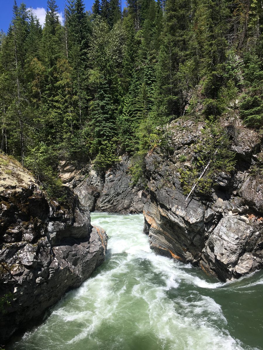 Stromschnellen des North Thompson River nördlich von Avola in British Columbia
