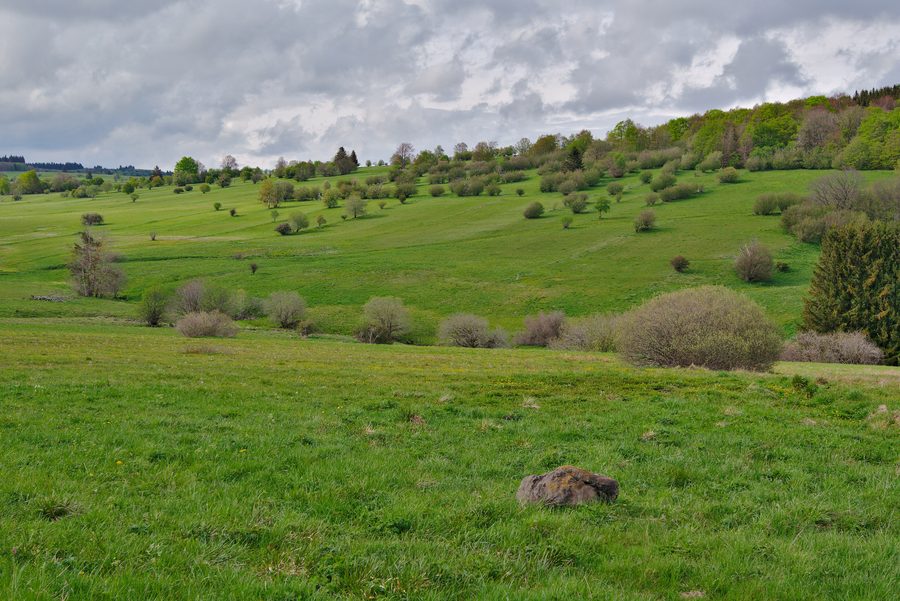 Wiesenlandschaft im Naturschutzgebiet Lange Rhön