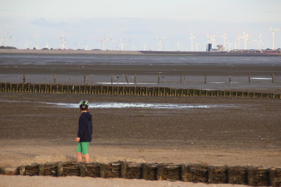 Wattflächen im Nationalpark Schleswig-Holsteinisches Wattenmeer bei Vollerwiek bei Ebbe