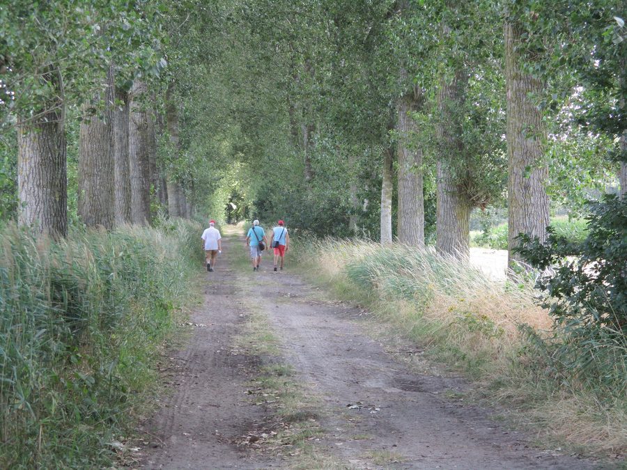 Dreef im Het Leen bei Eeklo