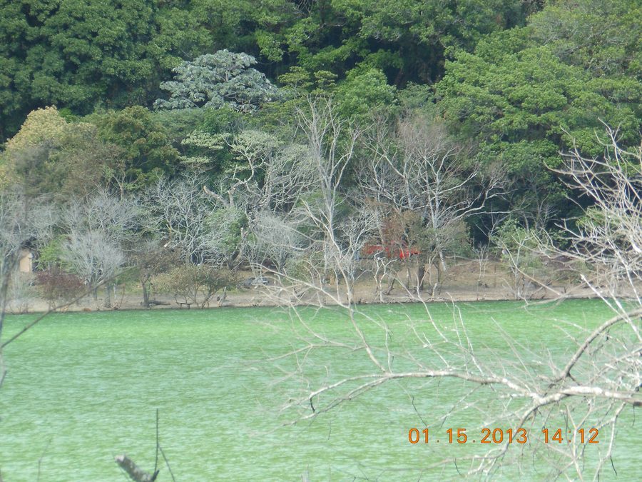 Laguna de Alegría im Krater des Tecapa in der vulkanisch geprägten Berglandschaft von Usulután