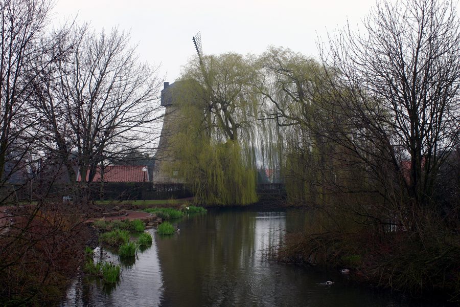 Rathausteich mit Kappwindmühle in Laer