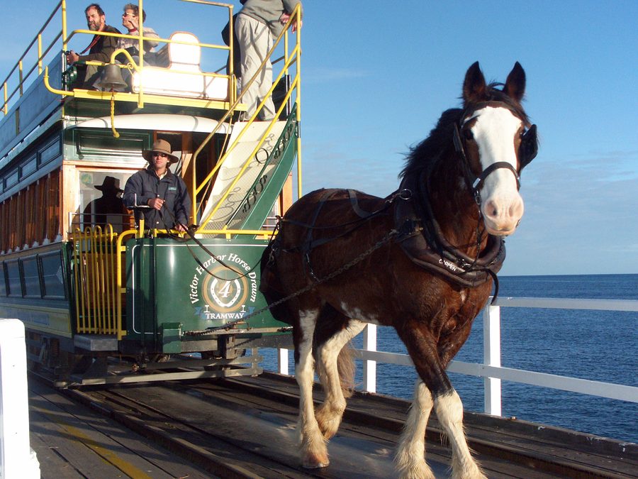 Pferdegezogene Straßenbahn auf dem Causeway bei Victor Harbor