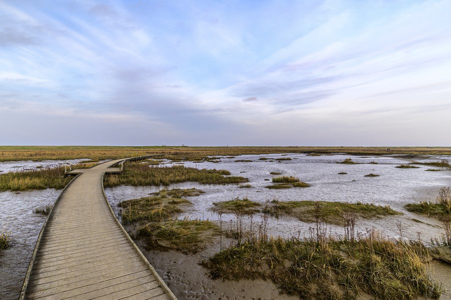 Bohlenweg im Langwarder Groden