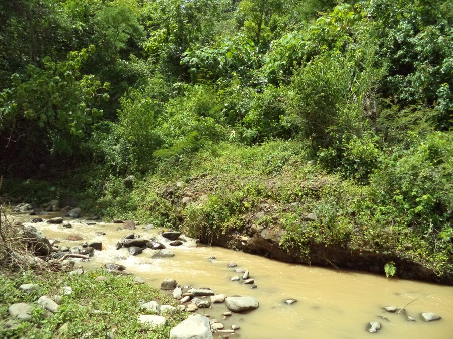 Landschaft am Río Nejapa in Ahuachapán, El Salvador