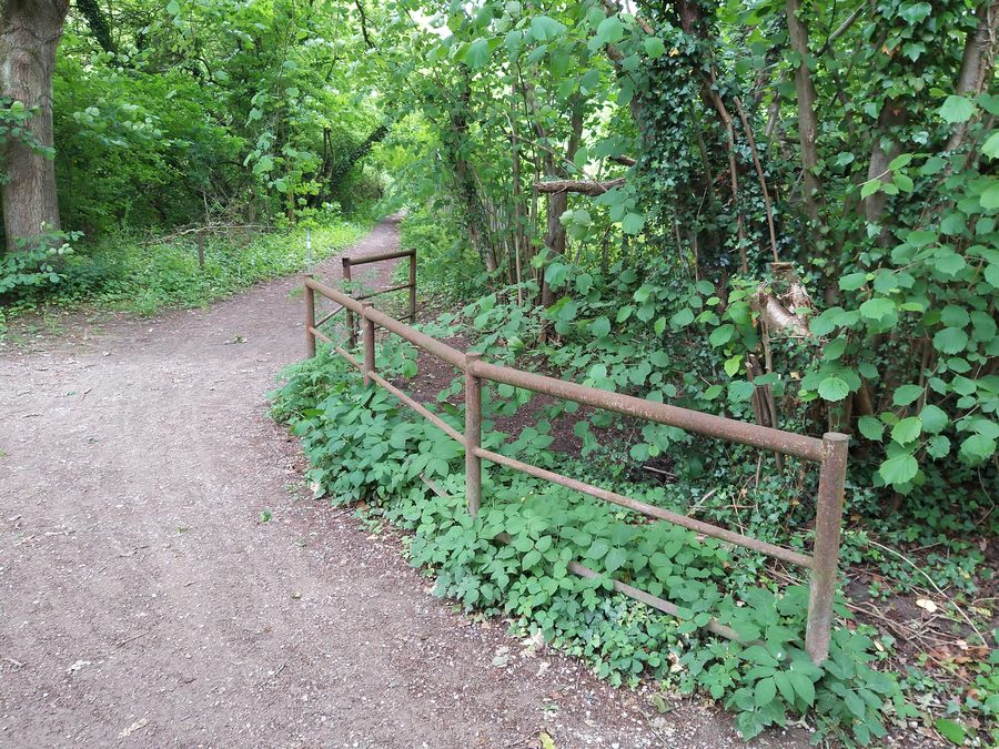 Landschaftsschutzgebiet Langsee, Kuckucksberg und Umgebung