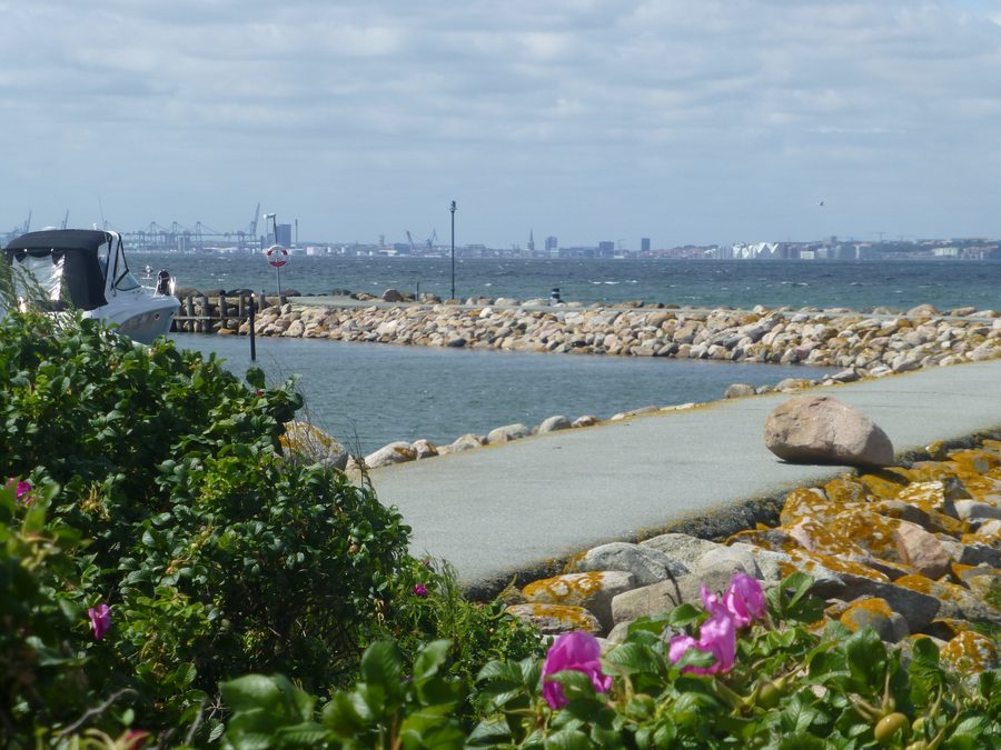 Aarhus set fra lystbådehavnen ved Skødshoved Bro