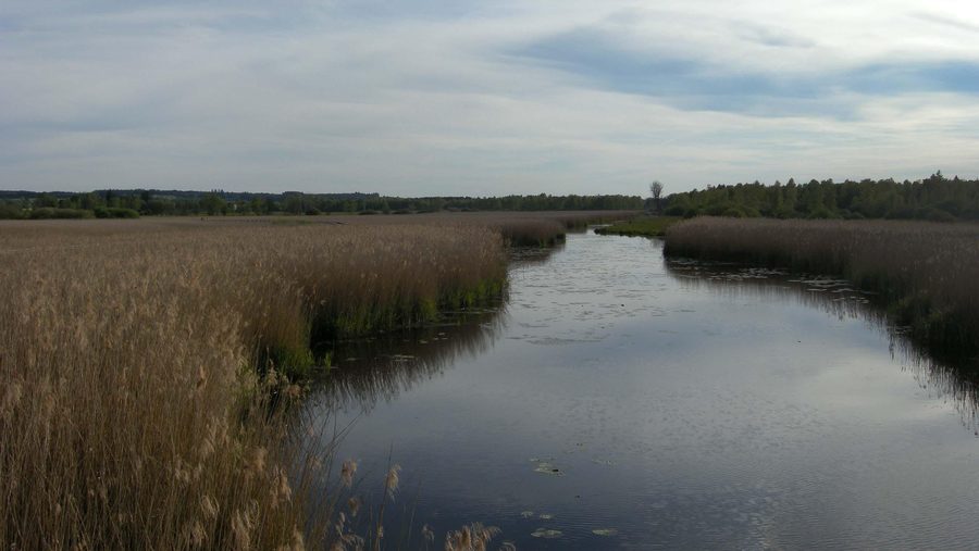 Kanal im Naturschutzgebiet Federsee bei Bad Buchau