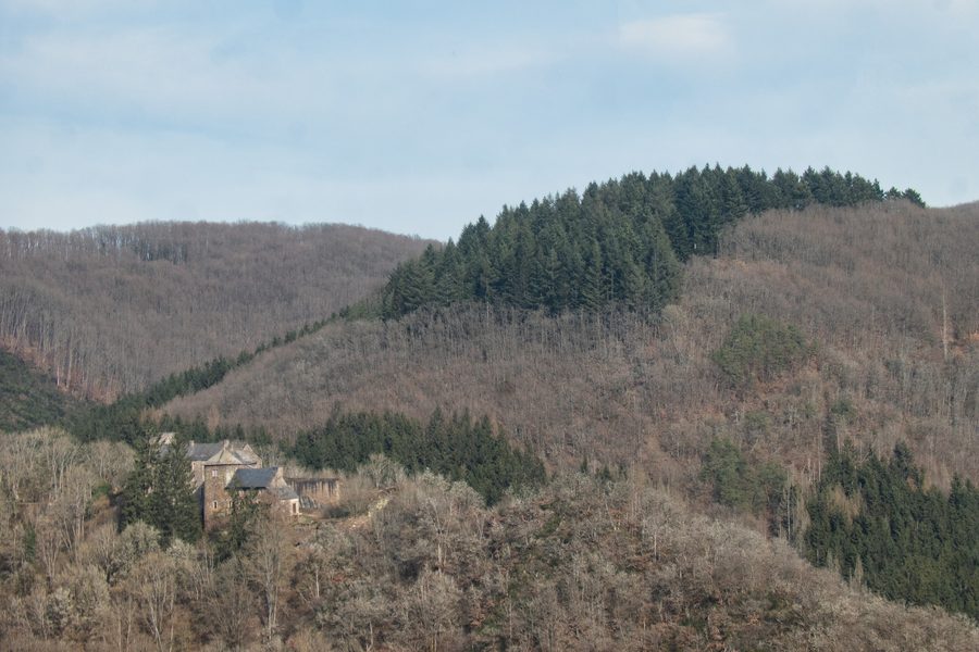 Blick auf das Schibbreger Schlass (Schüttburg)