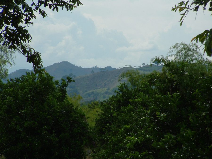 Hügelige Landschaft im Umfeld von Armenia in der kolumbianischen Kaffeeanbauregion
