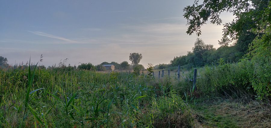 Neetzka am Morgen mit Blick auf ein Haus