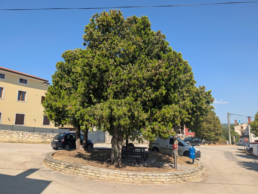 File:Central square of Nova Vas, Brtonigla.jpg