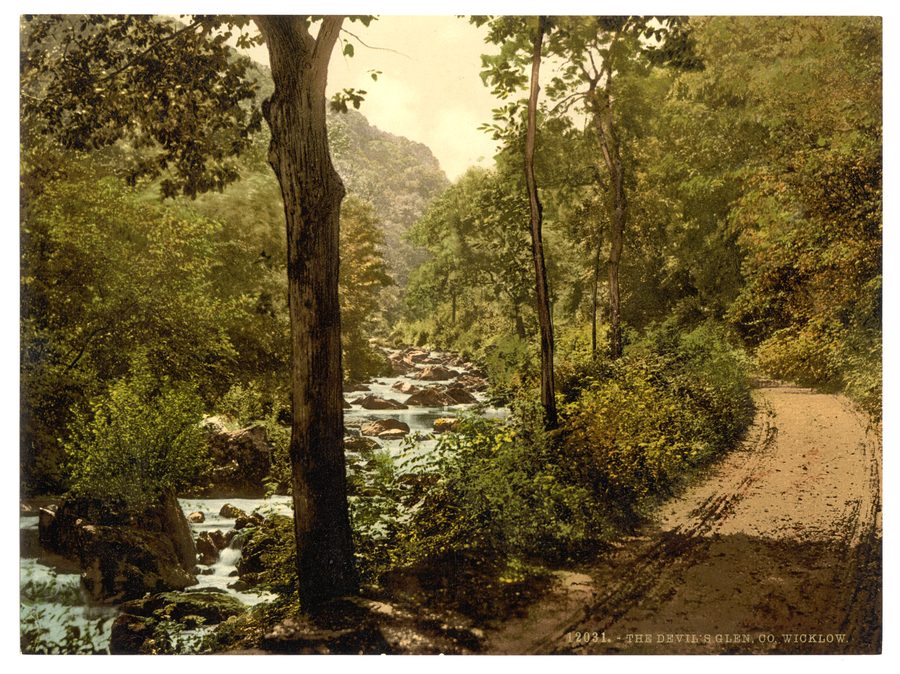 The Devil's Glen in County Wicklow, Ireland
