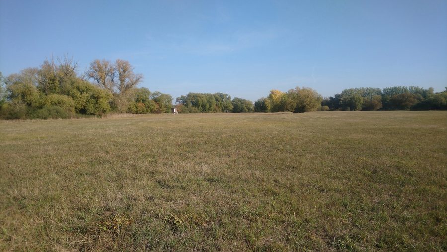 Alter Main bei Volkach auf der Weininsel