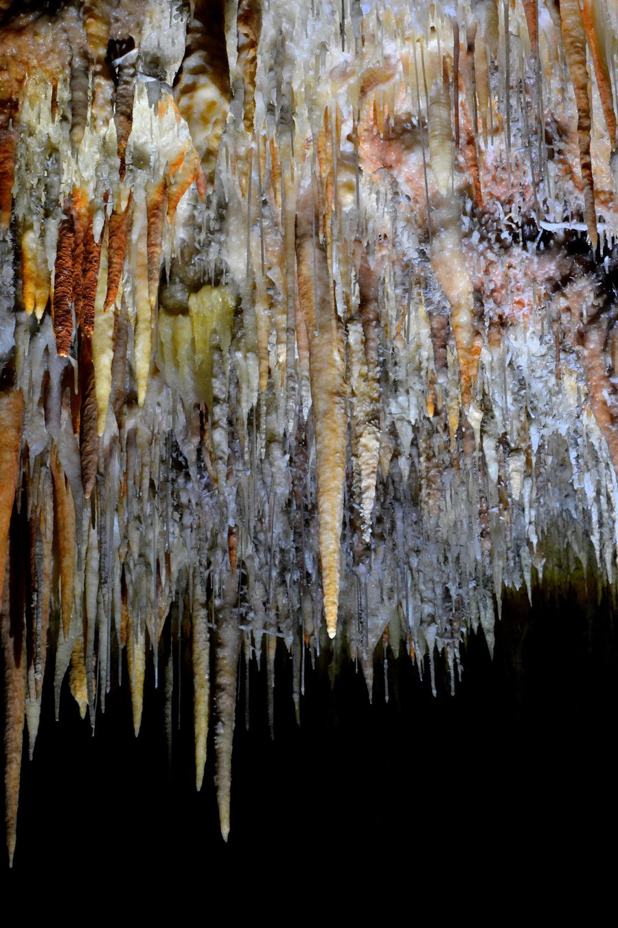 Stalaktiten in der Jillabenan Cave bei Yarrangobilly im Kosciuszko-Nationalpark