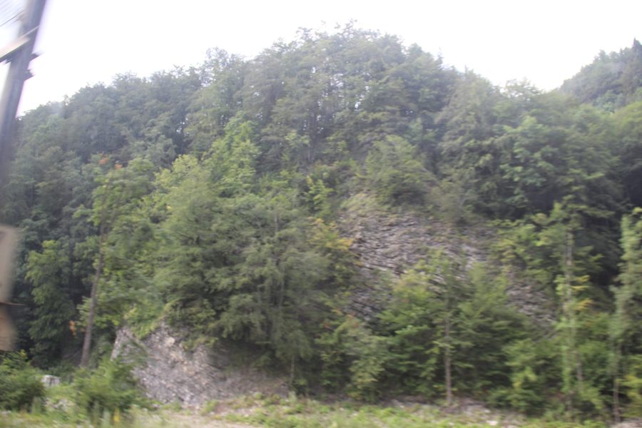 Blick über bewaldete Berghänge in den rumänischen Karpaten.