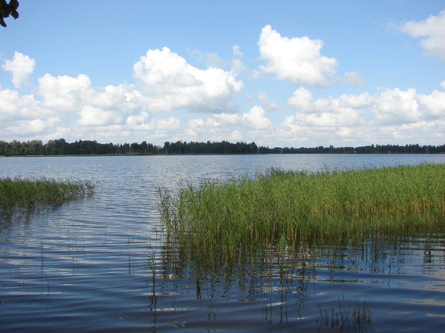 Blick auf den Pušas-See in der Gemeinde Puša, Lettland