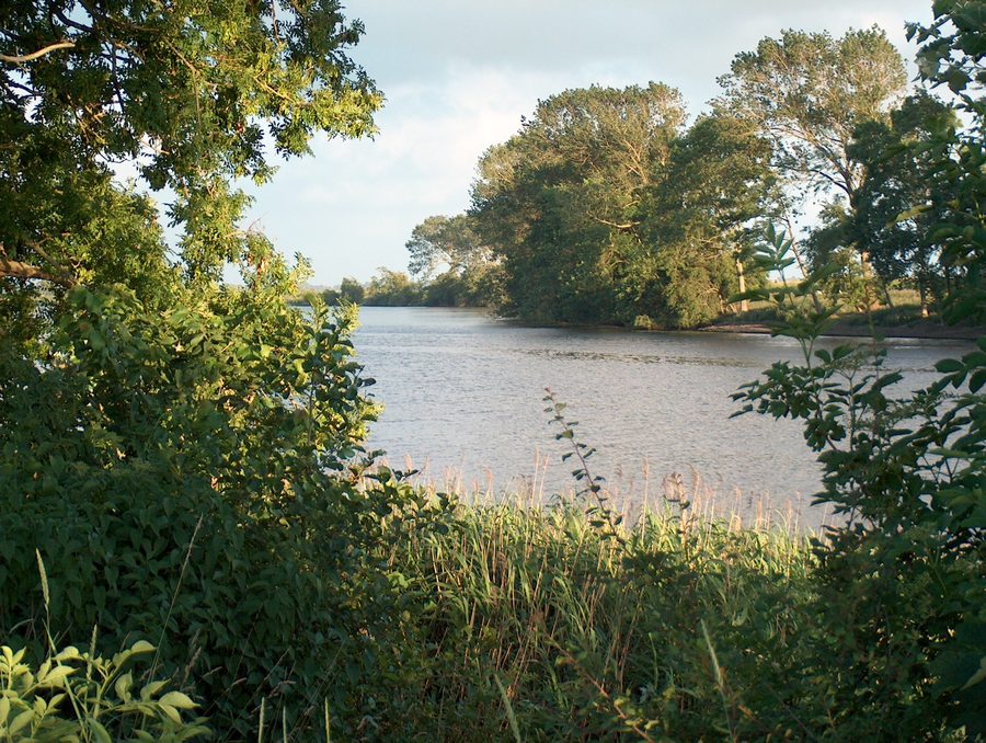 Eider bei Süderstapel mit Uferlandschaft