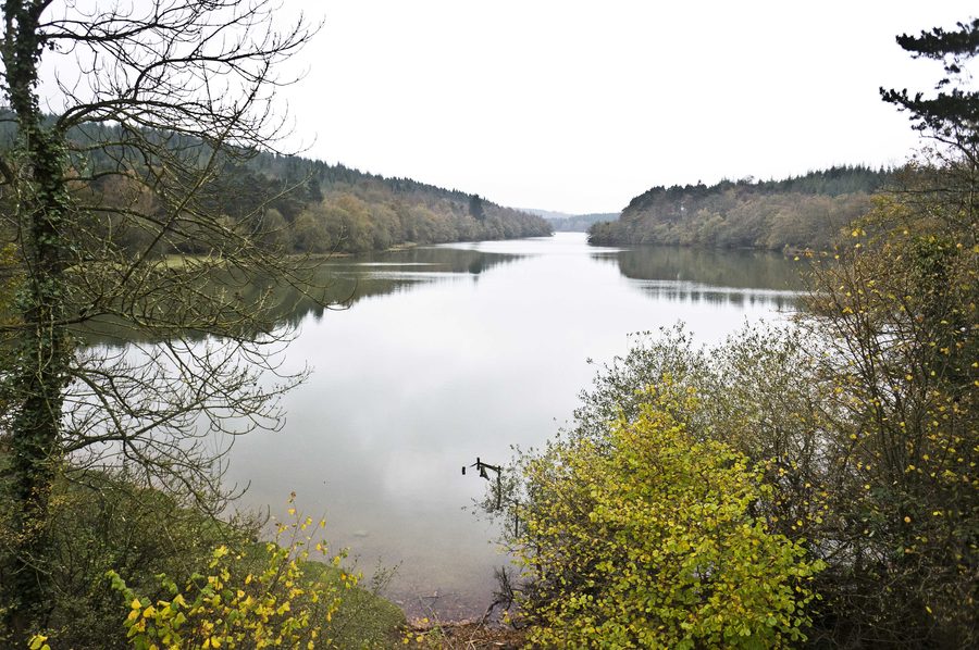 Embalse de Albina