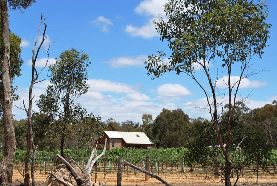Weinberg bei Amherst in Victoria, Australien