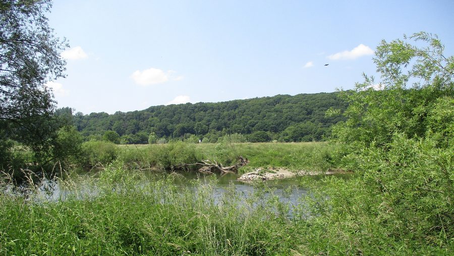 Die Ruhr in Hattingen