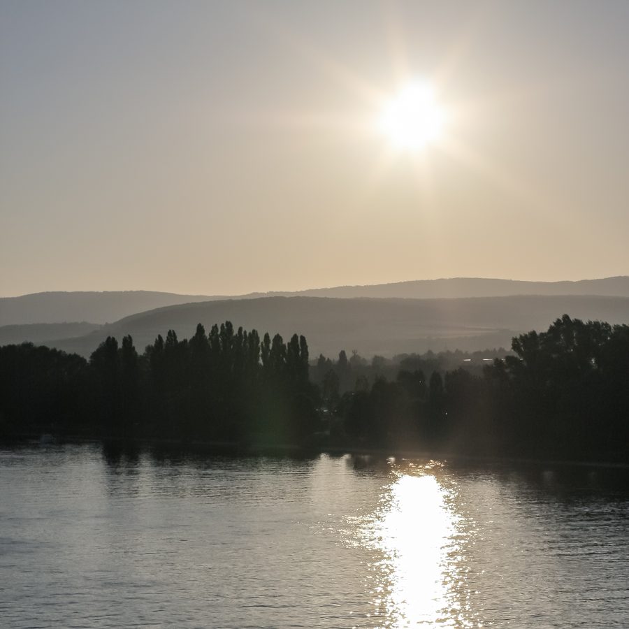 Rhein, Rheingau und Taunus bei Schierstein im Gegenlicht