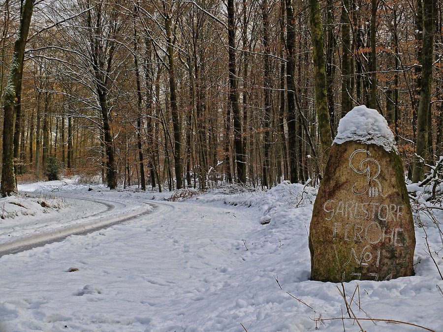 Historischer Grenzstein am Fastweg im Garlstorfer Wald, Gemeinde Garlstorf
