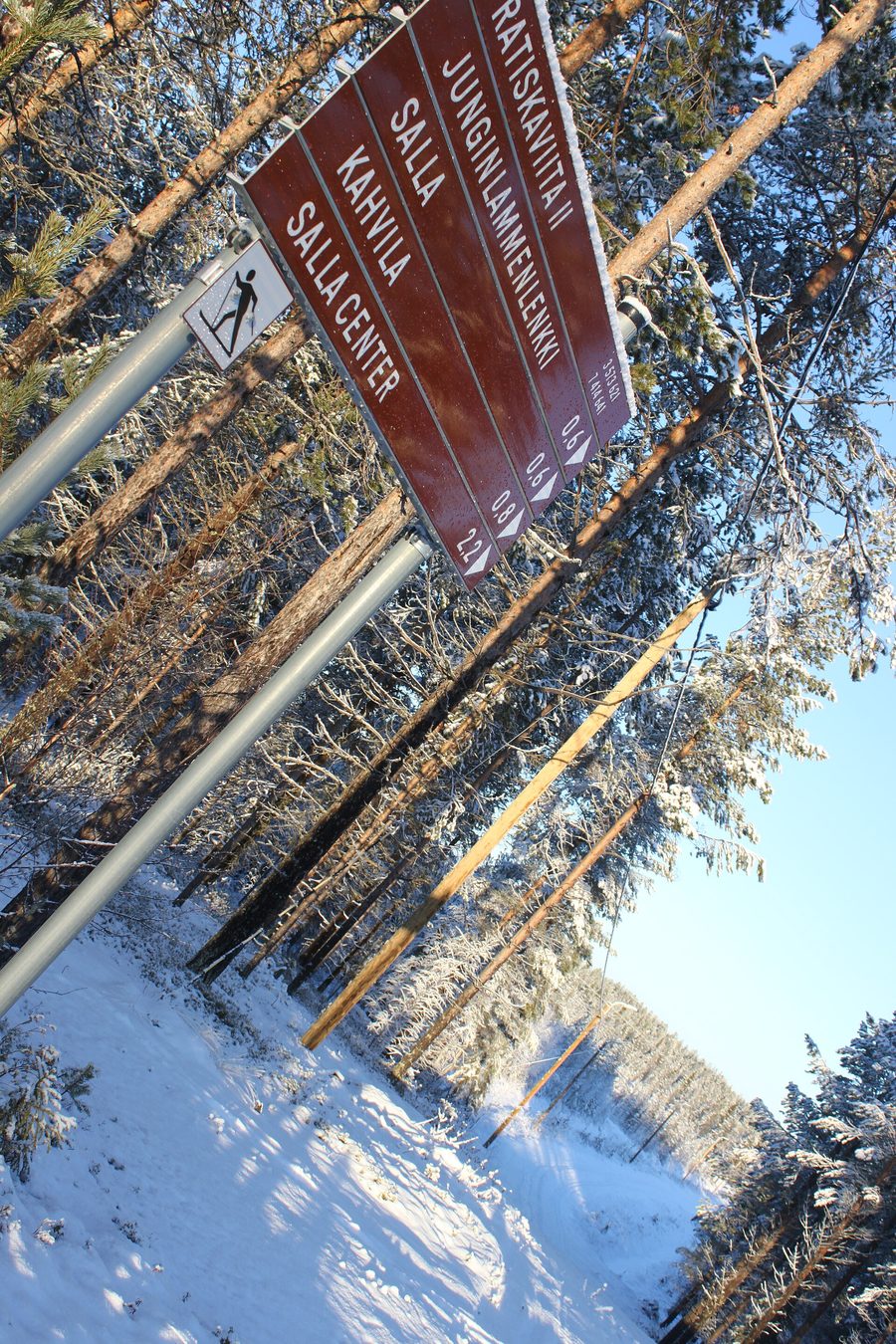 A skier in Salla during winter