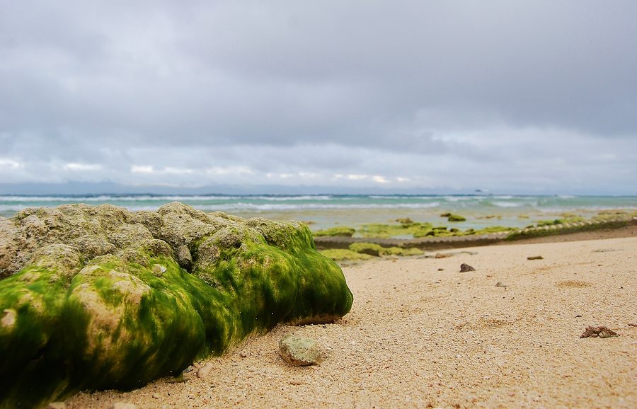Basdaku Beach mit Sandstrand in Moalboal auf Cebu
