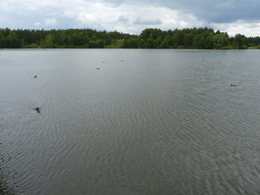 Hodějovský rybník in der Landschaft von Třeboňsko