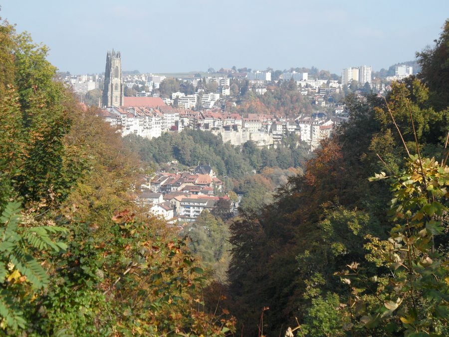 View of Fribourg old town and the cathedral from the Pérolles plateau.