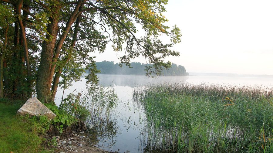 Uferlandschaft des Łaśmiady-Sees in Polen